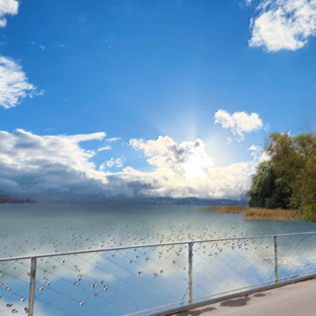 ボーデン湖の画像