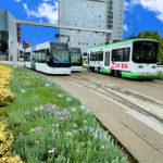 SPレコードの紹介に添えた画像