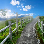 SPレコードに添えた画像